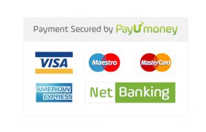 payu logo